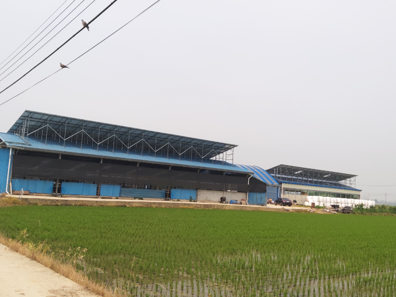 팽성태양광 전경사진.jpg